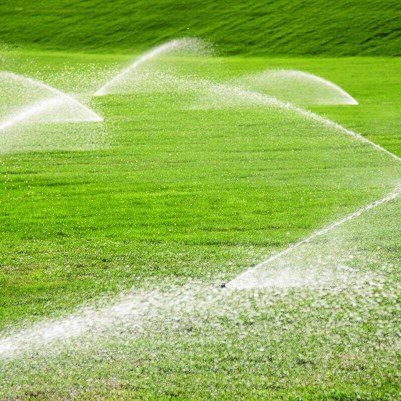Professional Landscaping & Lawn Care Services – Walters Landscaping Service LLC (12)